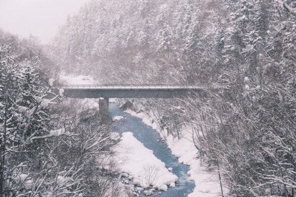 photo-1739536202007-599d9ca8c4be.jpg Sapporo Snow Festival snow sculptures