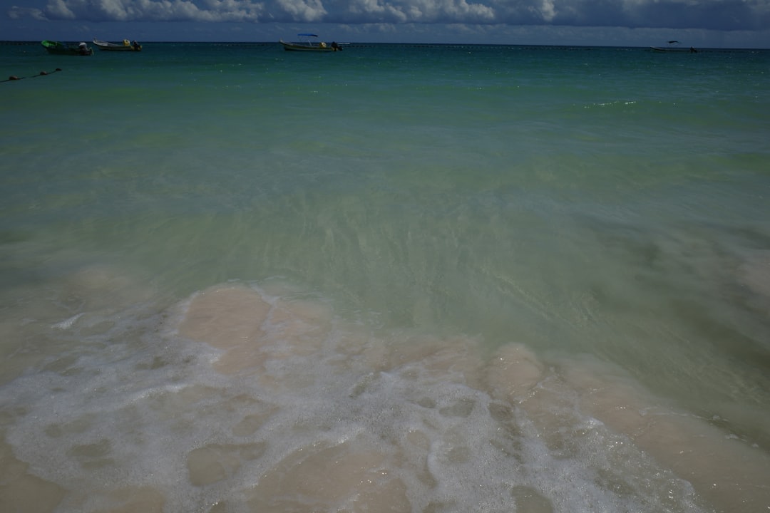 Aerial view of Tulum with ruins and ocean.