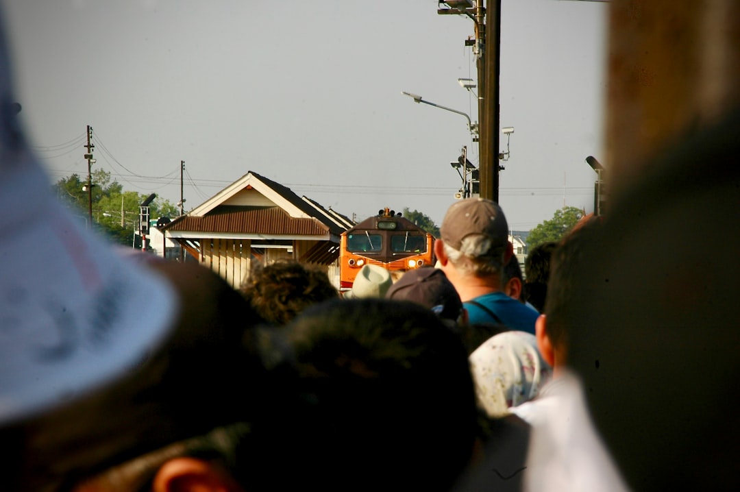 photo-1573432362679-ee4b80cdb7f1.jpg Elephants and dancers in the Kandy Esala Perahera.